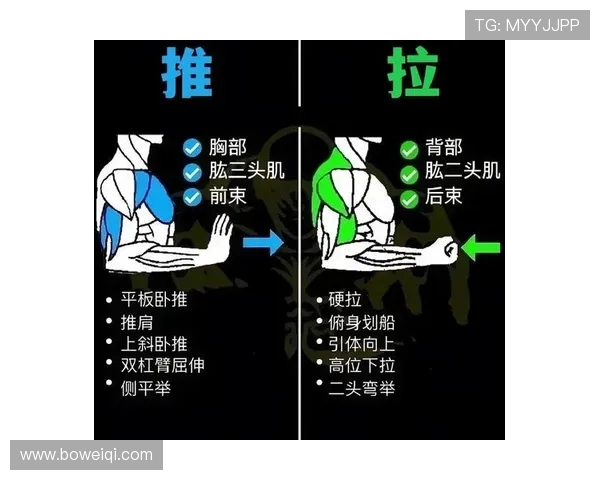健身新时代:科学饮食与高效训练相结合打造完美身材的必备攻略