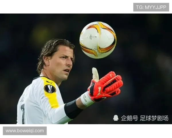 足球魅力无穷探索世界足坛发展历程与未来趋势