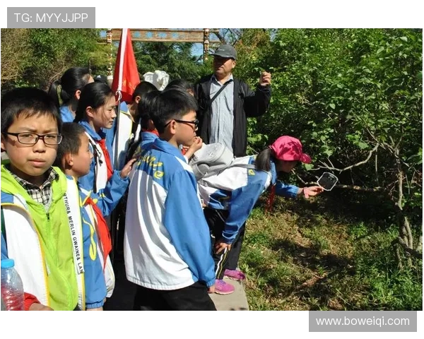 熊倪探索自然奇观与人文奥秘的融合之旅