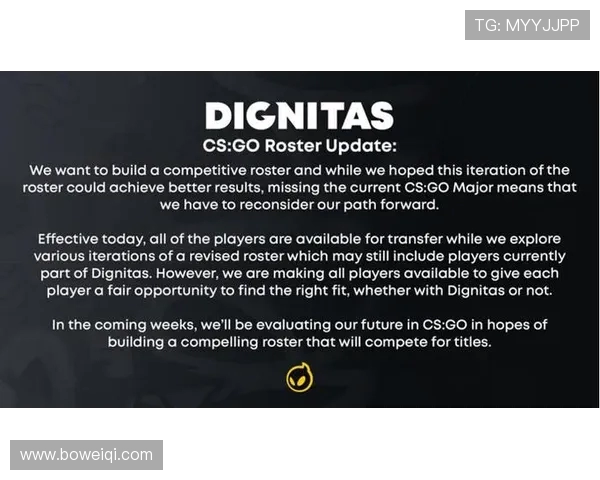 CSGO战术深度解析：探讨WE战队的独特策略与团队配合