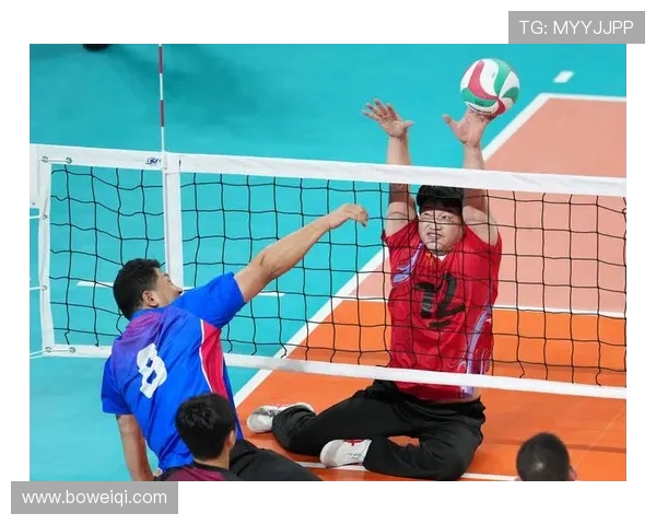 上海排球队心理素质排名第一最新排球心理素质TOP10全解析